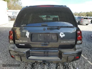 2004 Chevrolet TrailBlazer LS with VIN 1GNDS13S442162990, listed as a Copart auction lot 79086604 with 113,794 mi miles and Salvage Title. Bid and sale history available at carsss.com. Image 6.