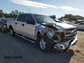 2014 Ford F-150 XL with VIN 1FTEW1CM8EKD65871, listed as a Copart auction lot 55603235 with 249,560 mi miles and Salvage title. Bid and sale history available at DreamBid. Image 4.