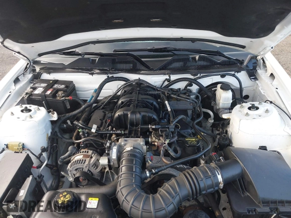2010 Ford Mustang V6 с VIN 1ZVBP8EN8A5177825, выставлен на аукционе IAAI как лот 41828793 с пробегом Не указан миль и . История ставок и продаж доступна на DreamBid. Изображение 10.