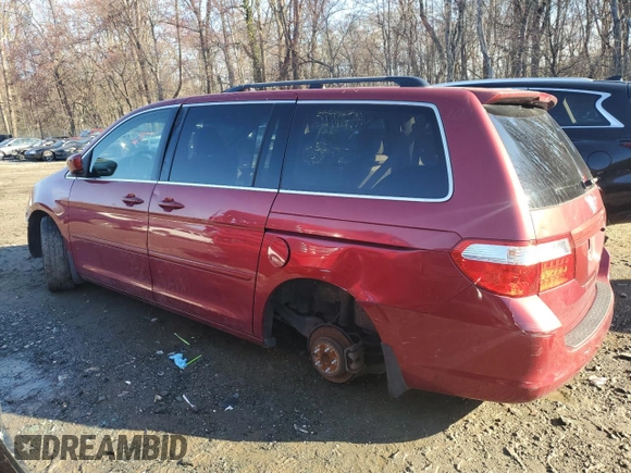 2005 Honda Odyssey EX-L with VIN 5FNRL38675B070239, listed as a Copart auction lot 49959515 with 217,089 mi miles and Salvage Title. Bid and sale history available at carsss.com. Image 2.