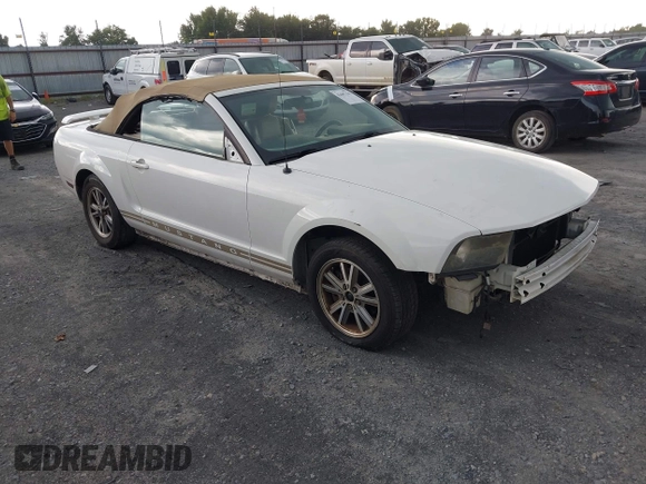 2005 Ford Mustang Deluxe with VIN 1ZVFT84N755253121, listed as a IAAI auction lot 42687235 with Not provided miles and . Bid and sale history available at DreamBid. Image 1.