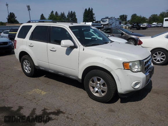 2009 Ford Escape Limited with VIN 1FMCU04G49KC02586, listed as a Copart auction lot 62153435 with 213,572 mi miles and Clean title. Bid and sale history available at DreamBid. Image 4.