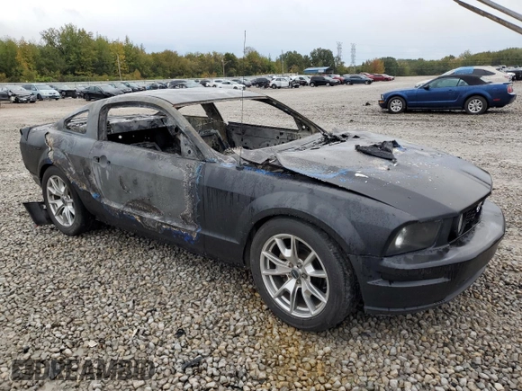 2008 Ford Mustang Deluxe with VIN 1ZVHT80N385125655, listed as a Copart auction lot 78388804 with Not provided miles and Non repairable. Bid and sale history available at DreamBid. Image 4.