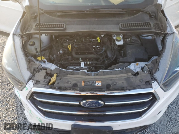 2019 Ford Escape SE with VIN 1FMCU0GD7KUB08472, listed as a Copart auction lot 43420495 with 53,044 mi miles and Salvage Title. Bid and sale history available at carsss.com. Image 12.