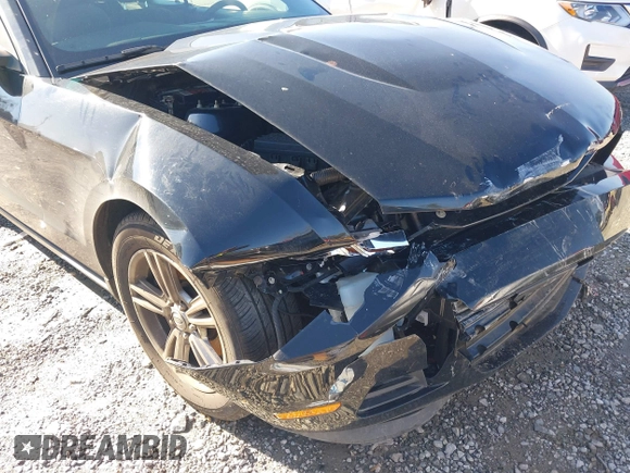 2011 Ford Mustang V6 with VIN 1ZVBP8EM7B5129385, listed as a IAAI auction lot 41208300 with 56,429 mi miles and . Bid and sale history available at DreamBid. Image 6.
