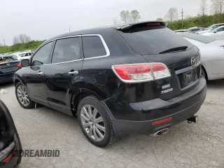 2009 Mazda CX-9 Touring with VIN JM3TB38V190164967, listed as a Copart auction lot 49181154 with 217,438 mi miles and Salvage Title. Bid and sale history available at carsss.com. Image 2.