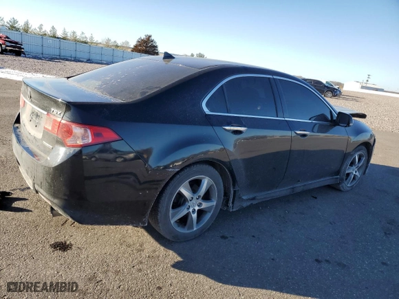 2013 Acura TSX Special Edition with VIN JH4CU2E85DC000333, listed as a Copart auction lot 83358094 with 167093 miles and Salvage Title. Bid and sale history available at carsss.com. Image 3.