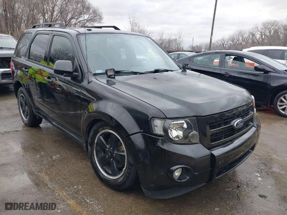 2011 Ford Escape XLT with VIN 1FMCU9DG7BKB03271, listed as a IAAI auction lot 41711731 with 139,135 mi miles. Bid and sale history available at carsss.com. Image 1.
