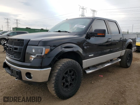 2011 Ford F-150 XLT with VIN 1FTFW1ET4BFC98666, listed as a Copart auction lot 59034455 with 175,742 mi miles and Salvage title. Bid and sale history available at DreamBid. Image 1.