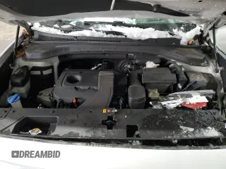 2019 Hyundai Santa Fe Ultimate with VIN 5NMS5CAD5KH002245, listed as a Copart auction lot 45110185 with 33,991 mi miles and Salvage Title. Bid and sale history available at carsss.com. Image 12.
