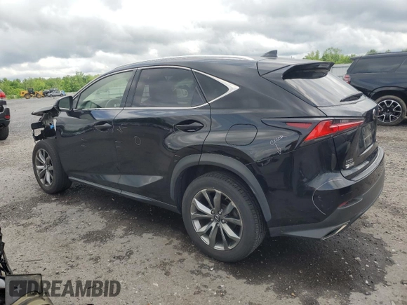 2019 Lexus NX 300 with VIN JTJYARBZ9K2145039, listed as a Copart auction lot 55788715 with 66,599 mi miles and Salvage title. Bid and sale history available at DreamBid. Image 2.