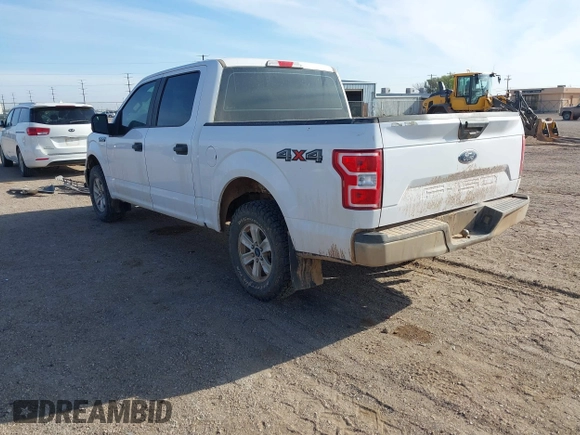 2019 Ford F-150 XL with VIN 1FTEW1E52KKC94894, listed as a IAAI auction lot 41880412 with 133,355 mi miles. Bid and sale history available at carsss.com. Image 3.