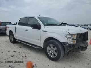 2017 Ford F-150 XL with VIN 1FTEW1EP6HKC53436, listed as a Copart auction lot 47133935 with 171,017 mi miles and Salvage Title. Bid and sale history available at carsss.com. Image 4.