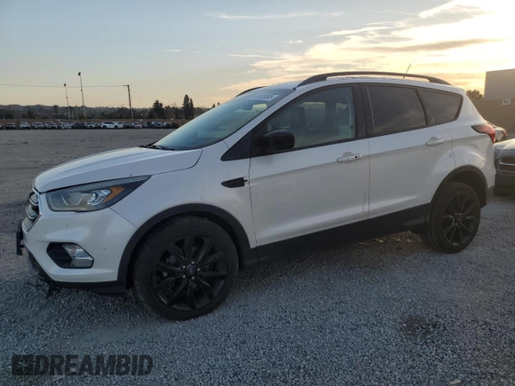 2019 Ford Escape SE with VIN 1FMCU0GD7KUB08472, listed as a Copart auction lot 43420495 with 53,044 mi miles and Salvage Title. Bid and sale history available at carsss.com. Image 1.