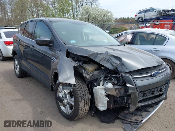 2015 Ford Escape SE with VIN 1FMCU9GX5FUC52980, listed as a IAAI auction lot 42106795 with Not Provided miles and . Bid and sale history available at DreamBid. Image 1.