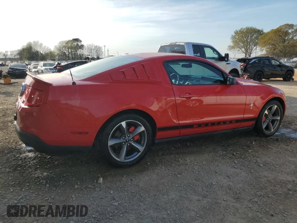 2010 Ford Mustang V6 with VIN 1ZVBP8AN4A5172398, listed as a Copart auction lot 50214925 with 113,094 mi miles and Salvage Title. Bid and sale history available at DreamBid. Image 3.