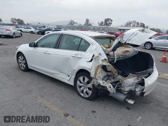2010 Honda Accord EX-L with VIN 5KBCP3F86AB019034, listed as a IAAI auction lot 41712850 with 50,871 mi miles and . Bid and sale history available at DreamBid. Image 3.