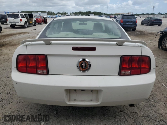 2005 Ford Mustang Deluxe with VIN 1ZVFT80N055206227, listed as a Copart auction lot 54861085 with 235,462 mi miles and Salvage Title. Bid and sale history available at carsss.com. Image 6.