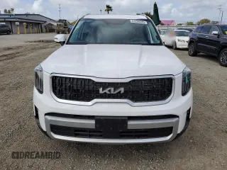 2024 Kia Telluride EX with VIN 5XYP34GC7RG504047, listed as a Copart auction lot 51299345 with 19,721 mi miles and Salvage title. Bid and sale history available at DreamBid. Image 5.