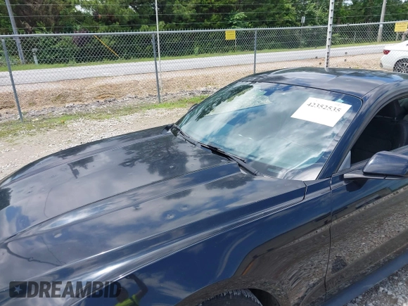 2015 Ford Mustang V6 with VIN 1FA6P8AM1F5431065, listed as a IAAI auction lot 42352535 with 110,274 mi miles and . Bid and sale history available at DreamBid. Image 6.