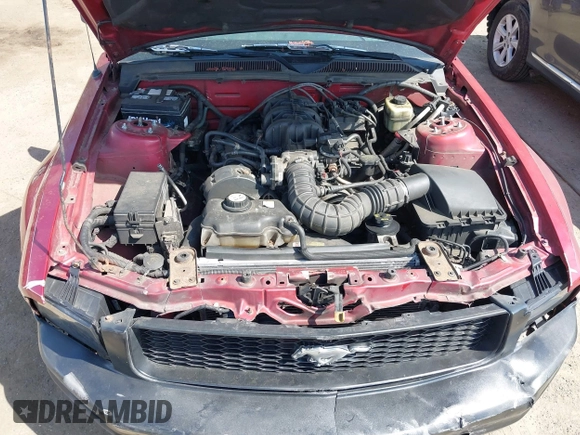 2005 Ford Mustang Deluxe with VIN 1ZVFT80NX55119984, listed as a IAAI auction lot 41921403 with 243,278 mi miles and . Bid and sale history available at DreamBid. Image 10.