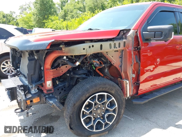 2023 Ford F-150 XL с VIN 1FTFW1E81PKD40821, выставлен на аукционе IAAI как лот 42436737 с пробегом 32 938 миль миль и . История ставок и продаж доступна на DreamBid. Изображение 18.