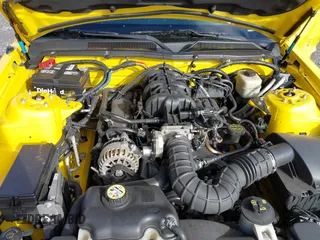 2006 Ford Mustang Standard with VIN 1ZVFT80N065243991, listed as a IAAI auction lot 41900624 with 149,041 mi miles. Bid and sale history available at carsss.com. Image 10.