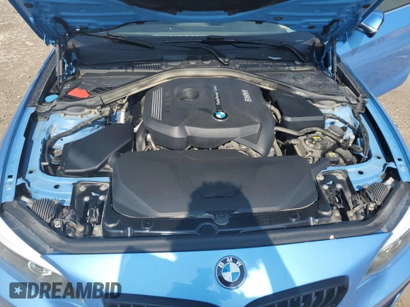 2018 BMW 2 Series 230i xDrive with VIN WBA2J3C56JVA49979, listed as a Copart auction lot 62429544 with 46,541 mi miles and Salvage title. Bid and sale history available at DreamBid. Image 11.