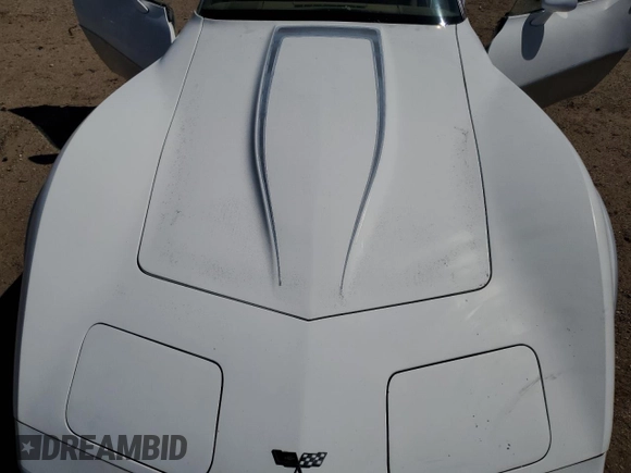 1982 Chevrolet Corvette z VIN 1G1AY8781C5121238, wystawiony jako Copart lot #47667705 z przebiegiem 34 307 mil mil oraz Czysty tytuł • Clean title. Historia ofert i sprzedaży dostępna na DreamBid. Obrazek 11.