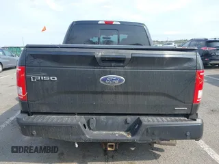 2016 Ford F-150 XLT z VIN 1FTEW1EF7GFC73113, wystawiony jako IAAI lot #42037683 z przebiegiem 160 332 mil mil oraz . Historia ofert i sprzedaży dostępna na DreamBid. Obrazek 16.