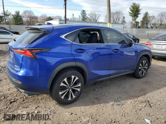 2020 Lexus NX with VIN JTJSARDZ2L2223679, listed as a Copart auction lot 46515665 with 55,746 mi miles and Salvage Title. Bid and sale history available at carsss.com. Image 3.