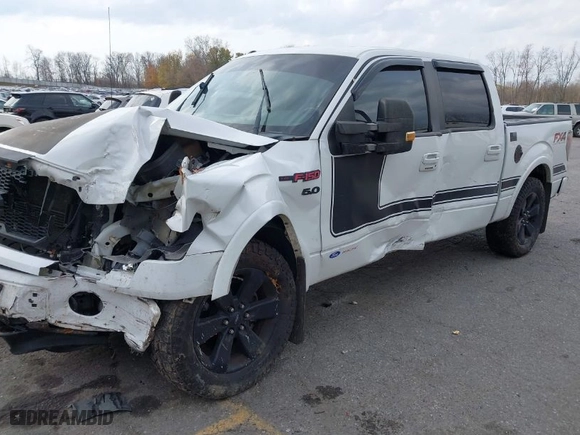 2013 Ford F-150 XL with VIN 1FTFW1EF1DFA25438, listed as a IAAI auction lot 40730412 with 174,013 mi miles. Bid and sale history available at carsss.com. Image 2.