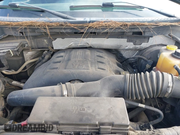 2014 Ford F-150 XL with VIN 1FTFW1CT0EKE19160, listed as a IAAI auction lot 41179262 with 219,236 mi miles and . Bid and sale history available at DreamBid. Image 10.