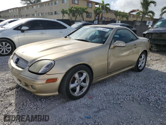 2001 Mercedes-Benz SLK 230/320 with VIN WDBKK65F61F210893, listed as a Copart auction lot 51276665 with Not provided miles and Salvage title. Bid and sale history available at DreamBid. Image 1.