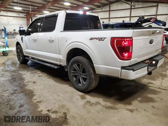 2023 Ford F-150 XL with VIN 1FTEW1EP0PKD06999, listed as a Copart auction lot 47529785 with 88,615 mi miles and Clean title. Bid and sale history available at DreamBid. Image 2.