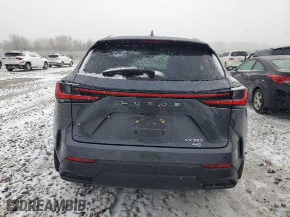 2024 Lexus NX 350 Luxury with VIN 2T2HGCEZ9RC032032, listed as a Copart auction lot 49675905 with 35,441 mi miles and Salvage title. Bid and sale history available at DreamBid. Image 6.