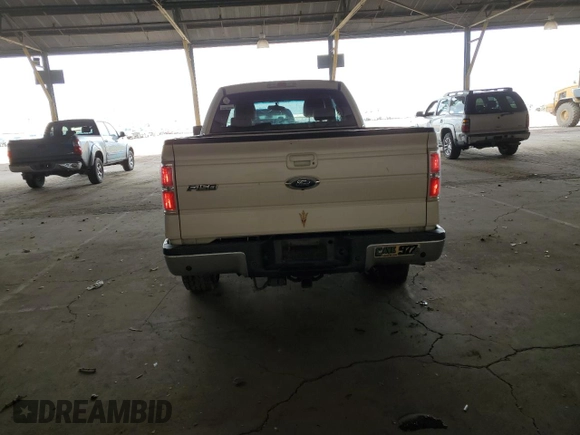 2009 Ford F-150 XL with VIN 1FTPX14V49FA89619, listed as a Copart auction lot 51645825 with 225,219 mi miles and Salvage Title. Bid and sale history available at carsss.com. Image 6.