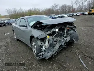 2017 Dodge Charger SXT with VIN 2C3CDXJG1HH516224, listed as a Copart auction lot 54162885 with 77,892 mi miles and Salvage Title. Bid and sale history available at carsss.com. Image 14.