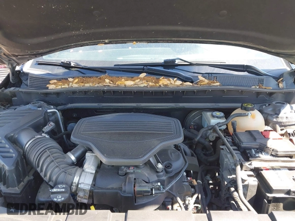 2019 Chevrolet Blazer RS with VIN 3GNKBJRS3KS623175, listed as a IAAI auction lot 42211655 with 85,266 mi miles and . Bid and sale history available at DreamBid. Image 10.
