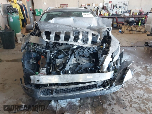 2015 Jeep Cherokee Limited with VIN 1C4PJLDB0FW505891, listed as a IAAI auction lot 41620674 with 120,804 mi miles and . Bid and sale history available at DreamBid. Image 6.