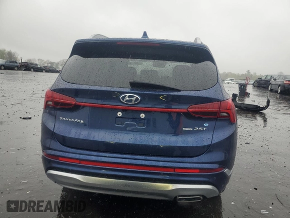 2023 Hyundai Santa Fe Calligraphy with VIN 5NMS5DAL3PH550491, listed as a Copart auction lot 52155135 with 22,442 mi miles and Salvage Title. Bid and sale history available at carsss.com. Image 6.