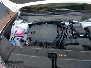 2025 Hyundai Tucson с VIN 3KMJACDE9SE019629, выставлен на аукционе Copart как лот 84281015 с пробегом 6 676 миль миль и Списание • Salvage title. История ставок и продаж доступна на DreamBid. Изображение 16.