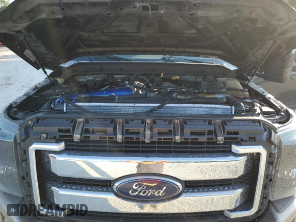 2014 Ford F-250 XL with VIN 1FT7W2BT7EEA08526, listed as a Copart auction lot 60975115 with 172,455 mi miles and Salvage title. Bid and sale history available at DreamBid. Image 11.