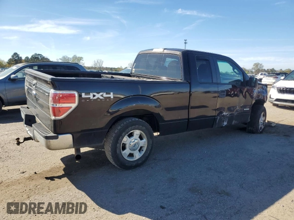 2014 Ford F-150 XL with VIN 1FTFX1ET1EFB38231, listed as a Copart auction lot 49866275 with 175,404 mi miles and Salvage Title. Bid and sale history available at carsss.com. Image 3.