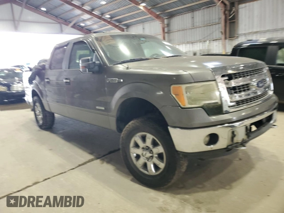 2013 Ford F-150 XL with VIN 1FTFW1ET6DFA01819, listed as a Copart auction lot 65373445 with Not provided miles and Clean title. Bid and sale history available at DreamBid. Image 4.