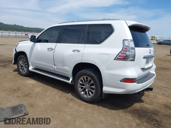2016 Lexus GX 460 Luxury с VIN JTJJM7FX2G5144116, выставлен на аукционе IAAI как лот 42483148 с пробегом 106 747 миль миль и . История ставок и продаж доступна на DreamBid. Изображение 3.