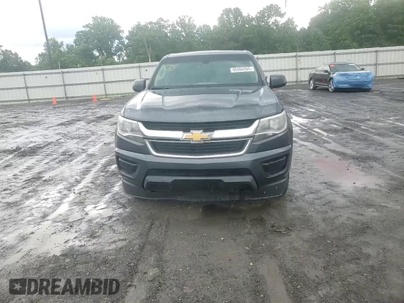 2016 Chevrolet Colorado 2WD WT with VIN 1GCGSBEA7G1325044, listed as a Copart auction lot 60466905 with 175,714 mi miles and Salvage title. Bid and sale history available at DreamBid. Image 13.