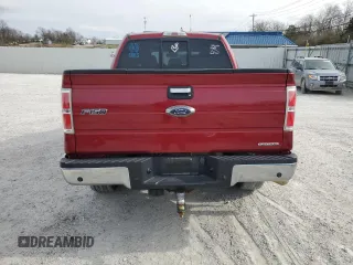 2013 Ford F-150 XL with VIN 1FTFW1EF5DFA72956, listed as a Copart auction lot 49891245 with 142,672 mi miles and Salvage Title. Bid and sale history available at DreamBid. Image 6.