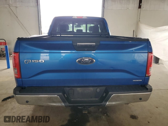 2016 Ford F-150 XLT with VIN 1FTFX1EF4GFB52587, listed as a Copart auction lot 60101035 with 193,963 mi miles and Salvage title. Bid and sale history available at DreamBid. Image 6.