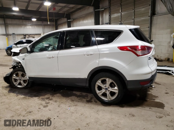 2015 Ford Escape SE with VIN 1FMCU9G93FUA48308, listed as a Copart auction lot 48293815 with 0 mi miles and Salvage Title. Bid and sale history available at carsss.com. Image 2.